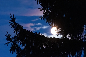 Red-Blue Clouds, Tree and the Moon